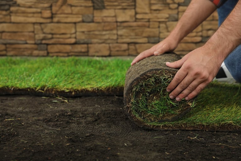 Installazione prato a rotoli nel giardino