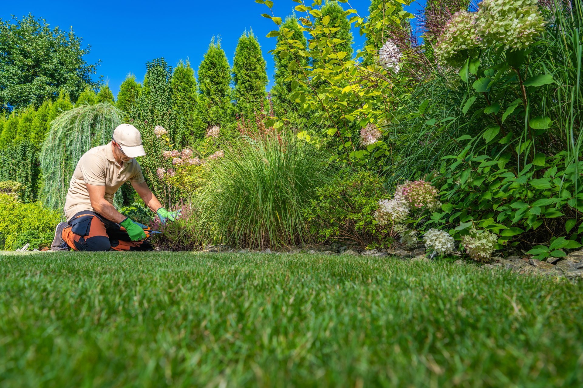 Seasonal Residential Backyard Maintenance Performed by Homeowner
